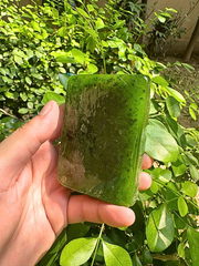 100% Organic Neem & Aloe Vera Pure Soap