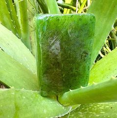 100% Organic Neem & Aloe Vera Pure Soap